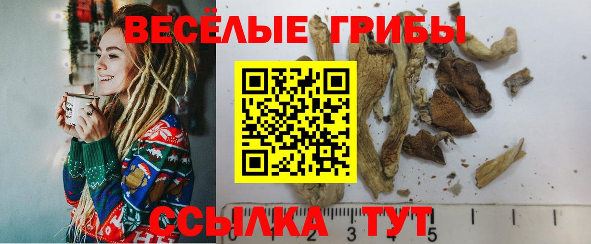 Галлюциногенные грибы Cubensis Белая Калитва